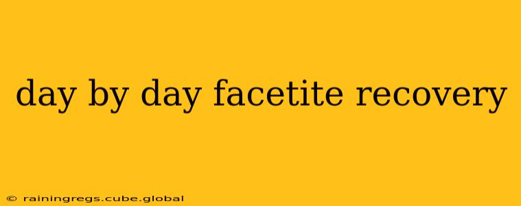 day by day facetite recovery