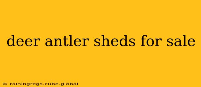 deer antler sheds for sale