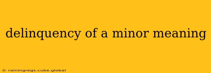delinquency of a minor meaning