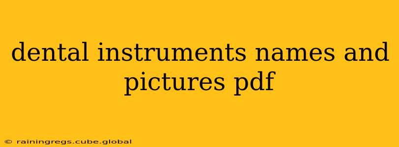 dental instruments names and pictures pdf
