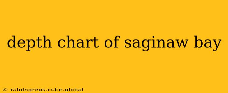 depth chart of saginaw bay