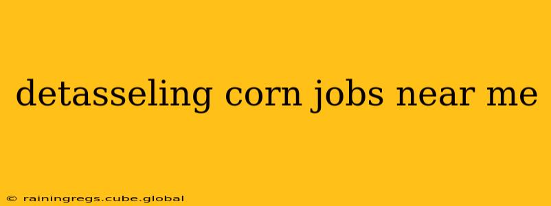 detasseling corn jobs near me