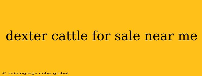 dexter cattle for sale near me