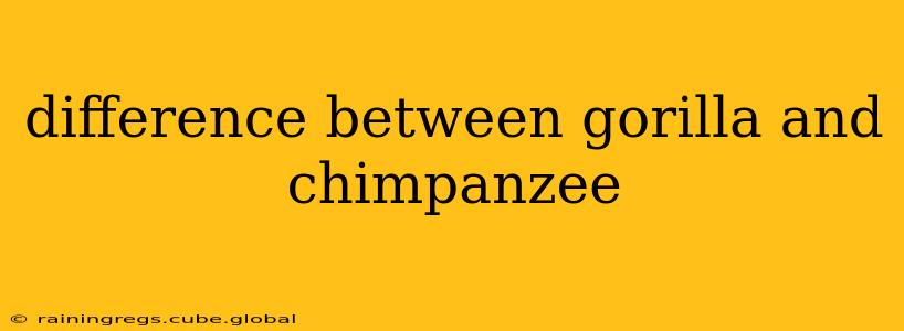 difference between gorilla and chimpanzee