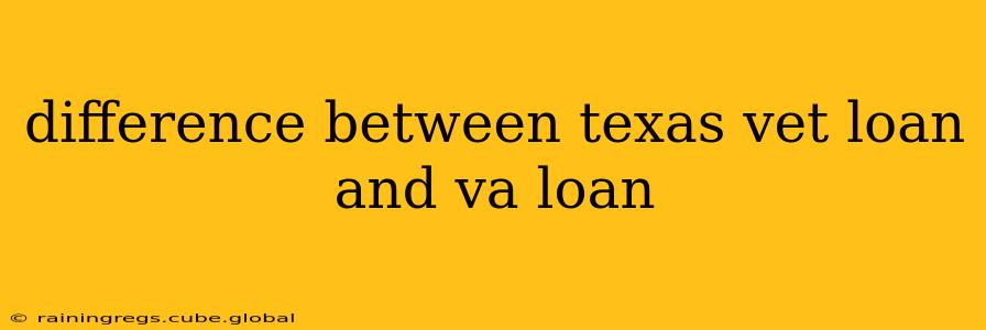 difference between texas vet loan and va loan