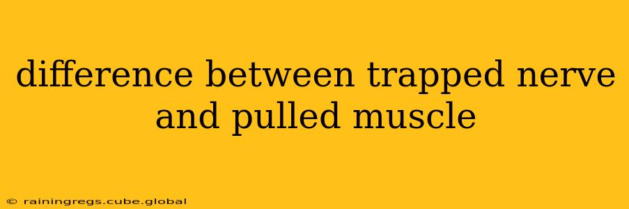 difference between trapped nerve and pulled muscle