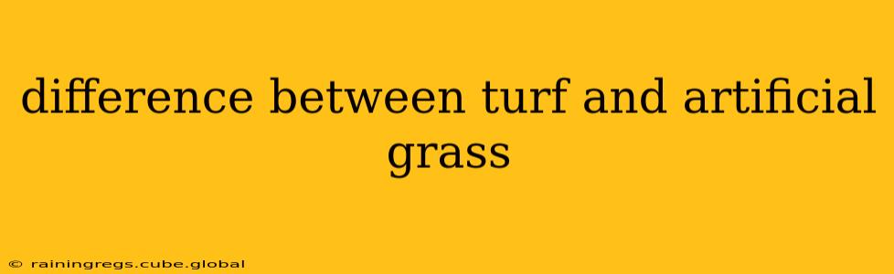 difference between turf and artificial grass