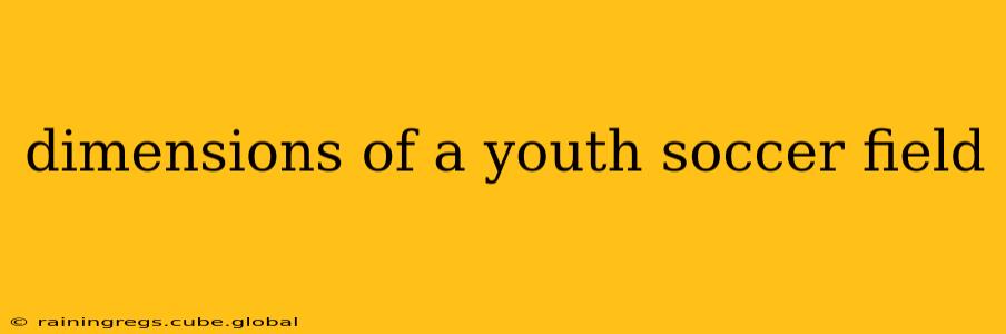 dimensions of a youth soccer field