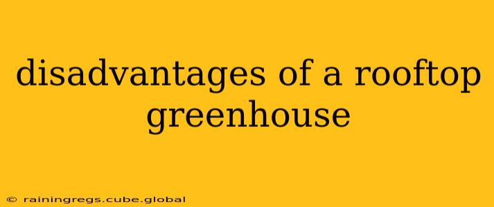 disadvantages of a rooftop greenhouse