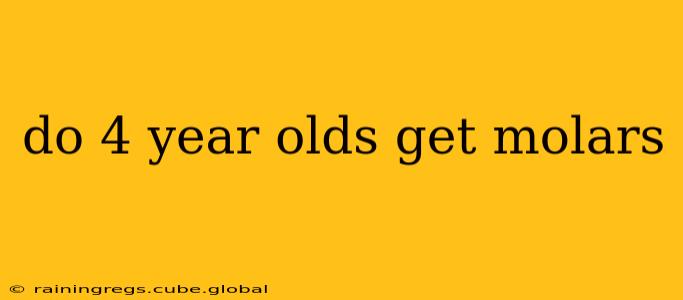 do 4 year olds get molars