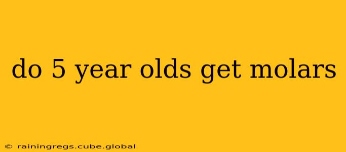 do 5 year olds get molars
