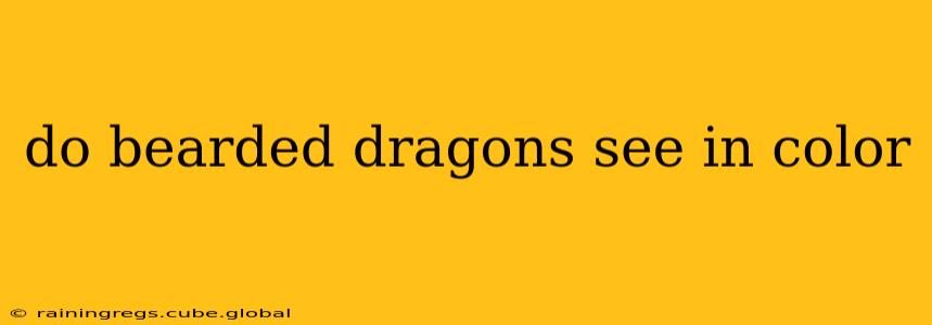 do bearded dragons see in color