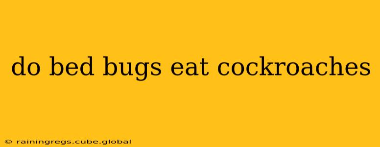 do bed bugs eat cockroaches