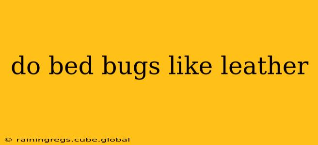 do bed bugs like leather