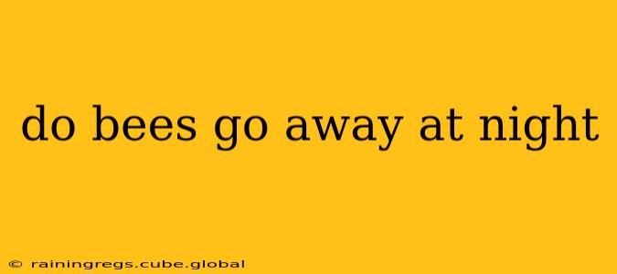 do bees go away at night