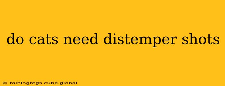 do cats need distemper shots