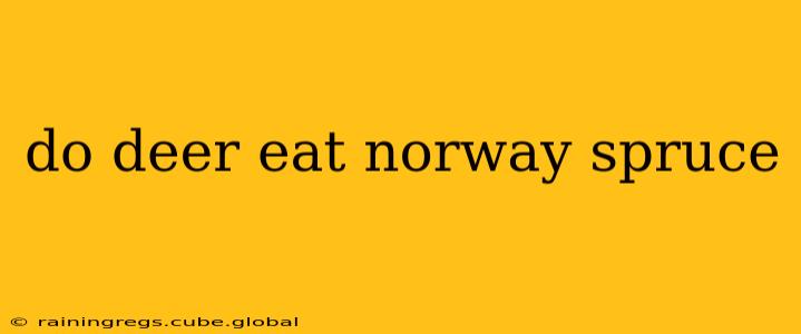 do deer eat norway spruce