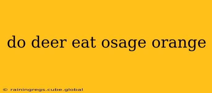 do deer eat osage orange