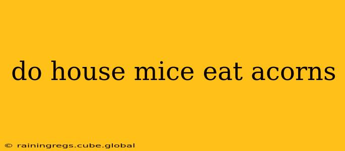 do house mice eat acorns