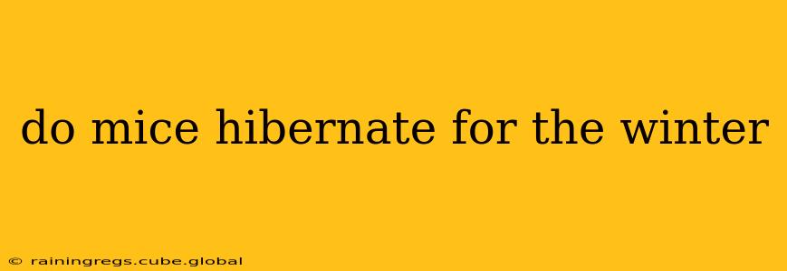 do mice hibernate for the winter