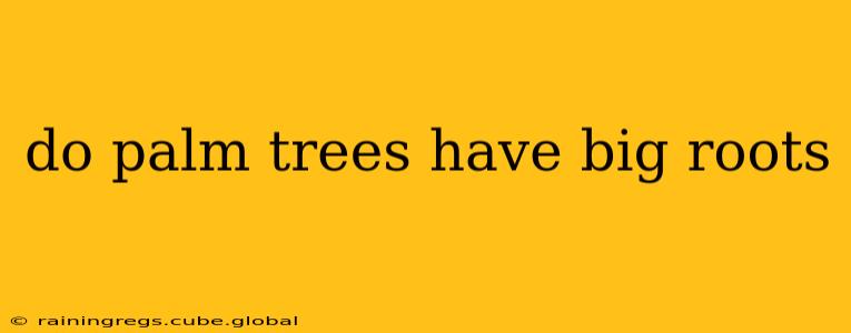 do palm trees have big roots