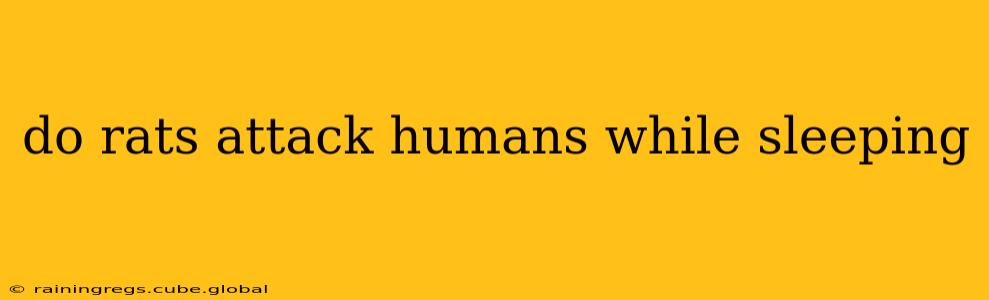 do rats attack humans while sleeping