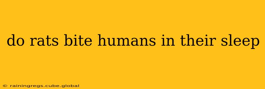do rats bite humans in their sleep