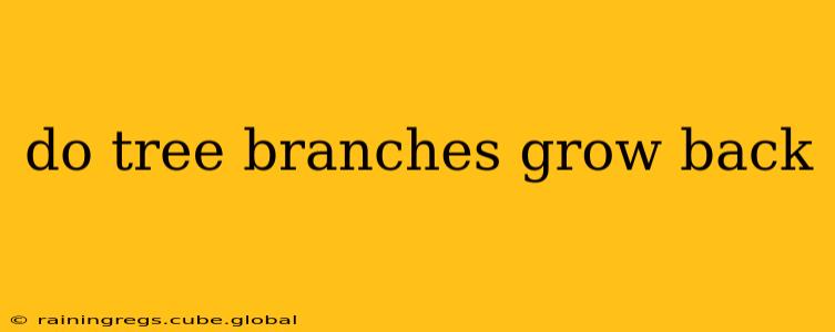 do tree branches grow back