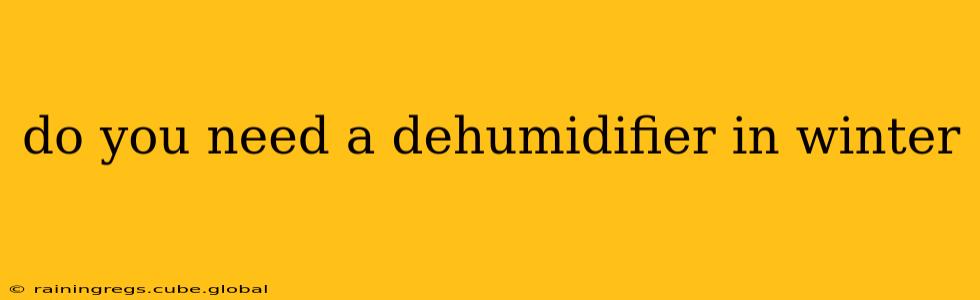 do you need a dehumidifier in winter