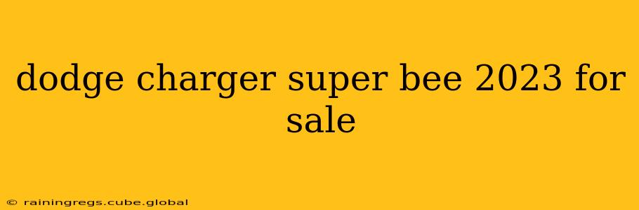 dodge charger super bee 2023 for sale