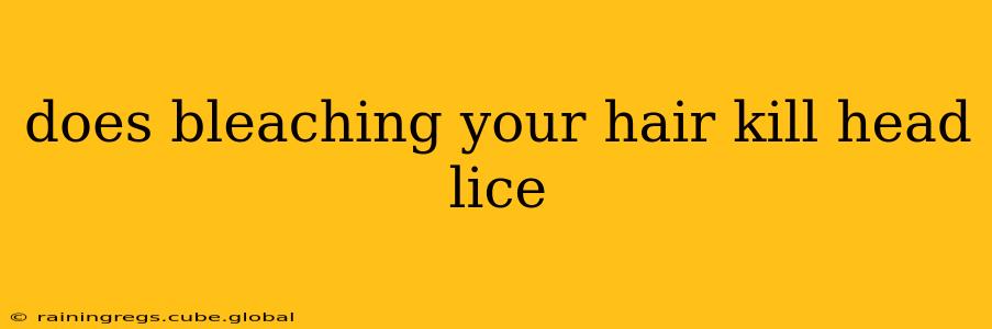 does bleaching your hair kill head lice