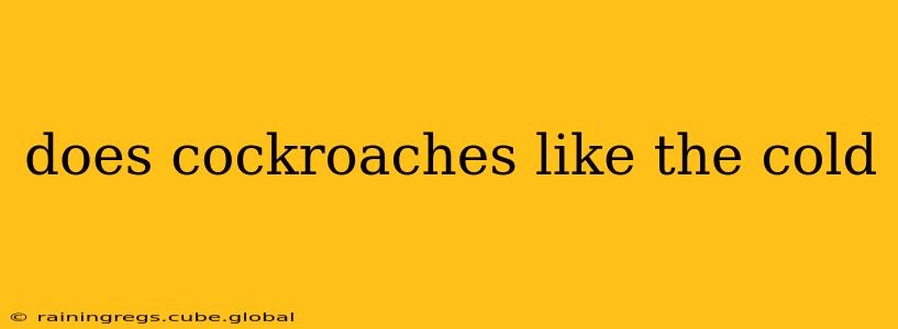 does cockroaches like the cold