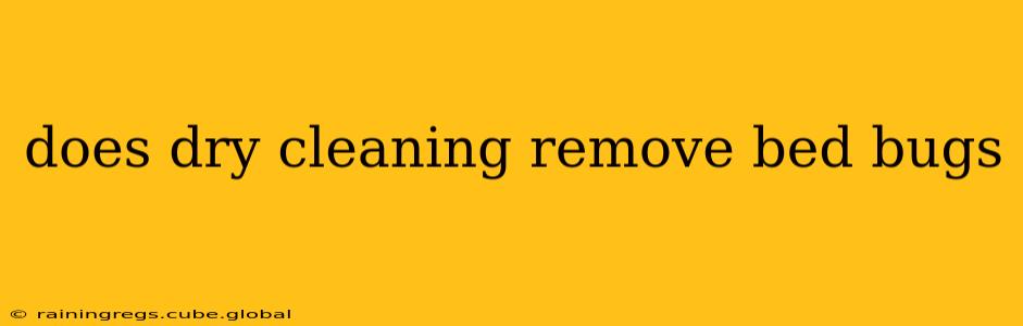 does dry cleaning remove bed bugs