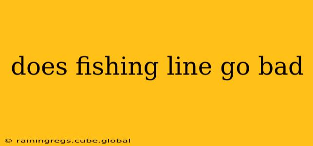 does fishing line go bad