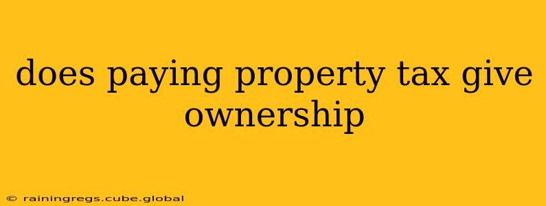 does paying property tax give ownership