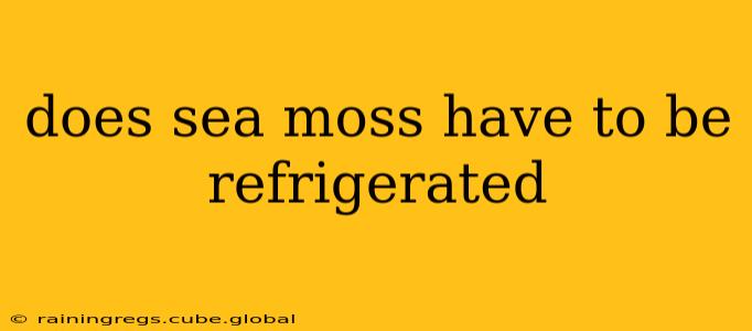 does sea moss have to be refrigerated