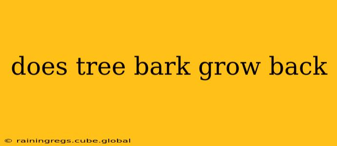 does tree bark grow back