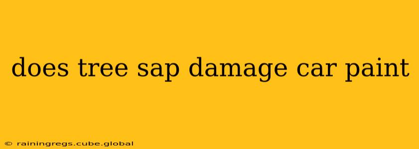 does tree sap damage car paint