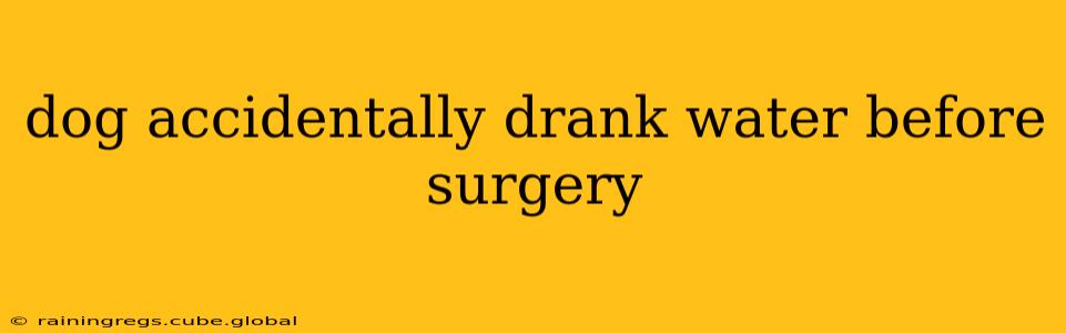 dog accidentally drank water before surgery