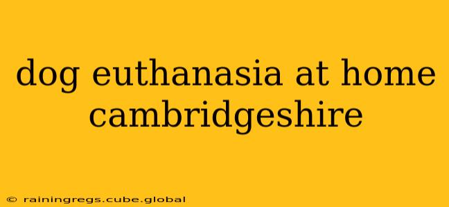 dog euthanasia at home cambridgeshire