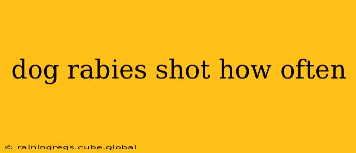 dog rabies shot how often