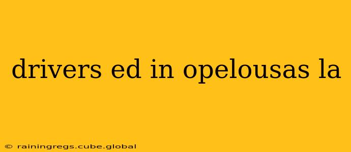 drivers ed in opelousas la