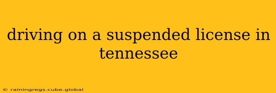 driving on a suspended license in tennessee