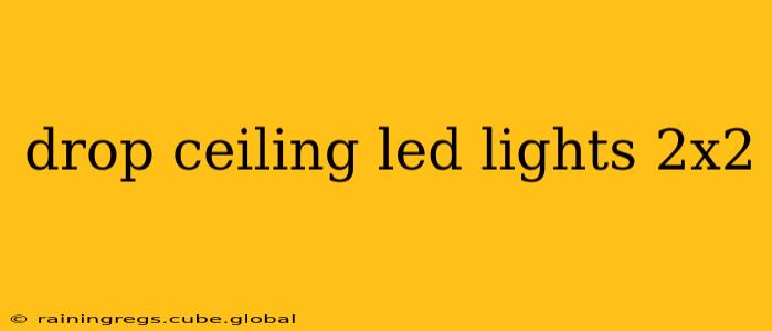drop ceiling led lights 2x2