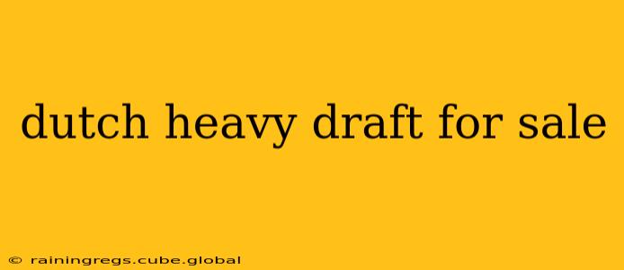 dutch heavy draft for sale