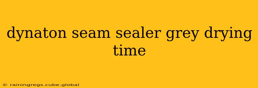 dynaton seam sealer grey drying time