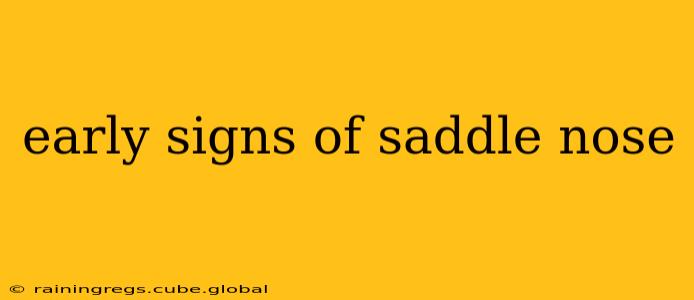 early signs of saddle nose