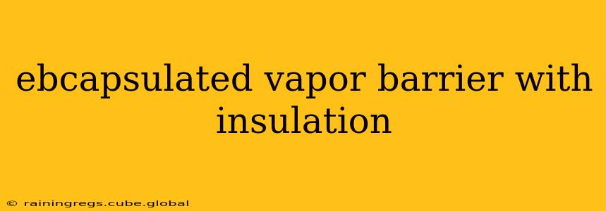 ebcapsulated vapor barrier with insulation