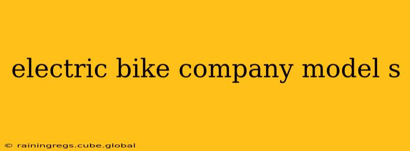 electric bike company model s