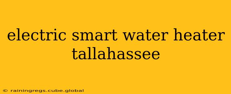 electric smart water heater tallahassee